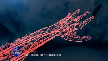 Notre corps, ce réseau social