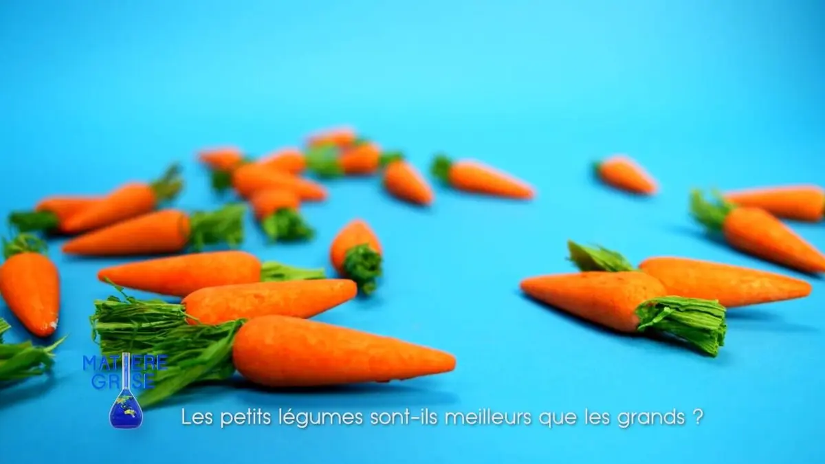 Matière grise Les petits légumes sont-ils meilleurs pour la santé ?
