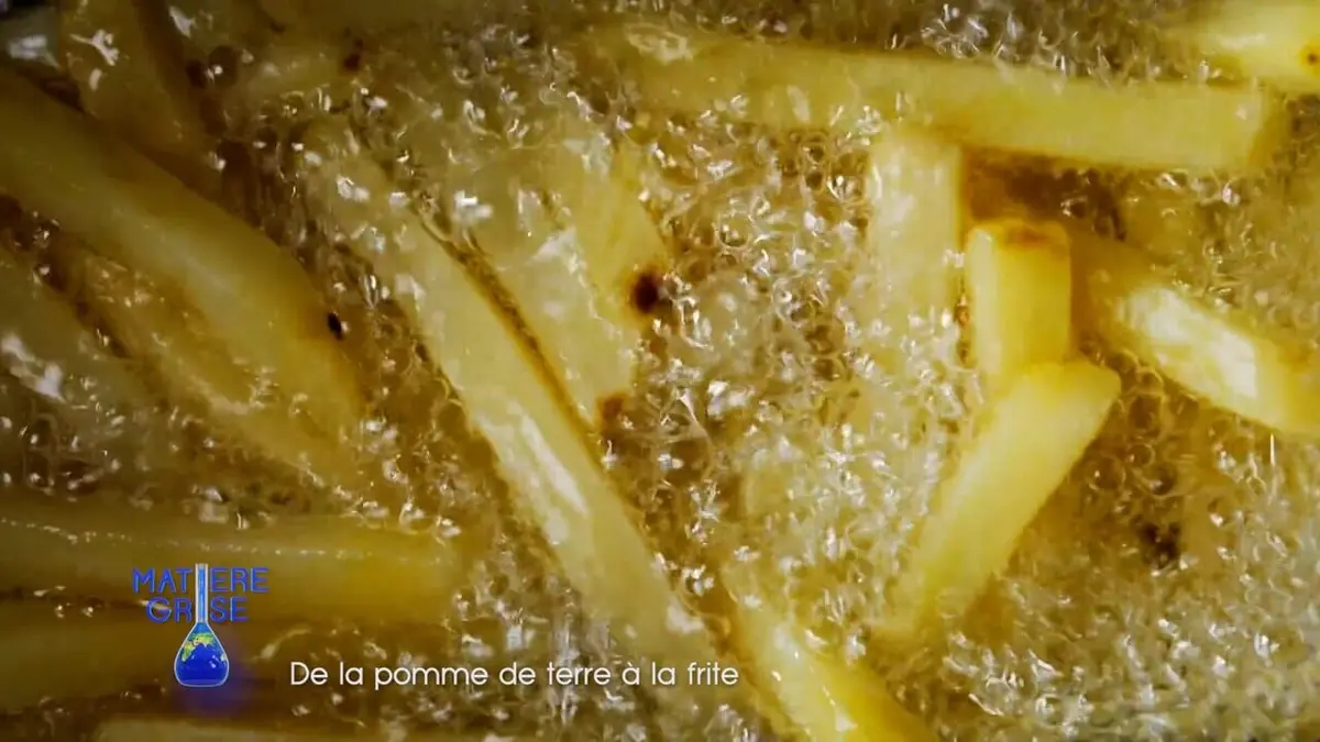 Matière grise Spéciale frites !