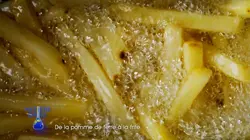 Matière grise Spéciale frites !