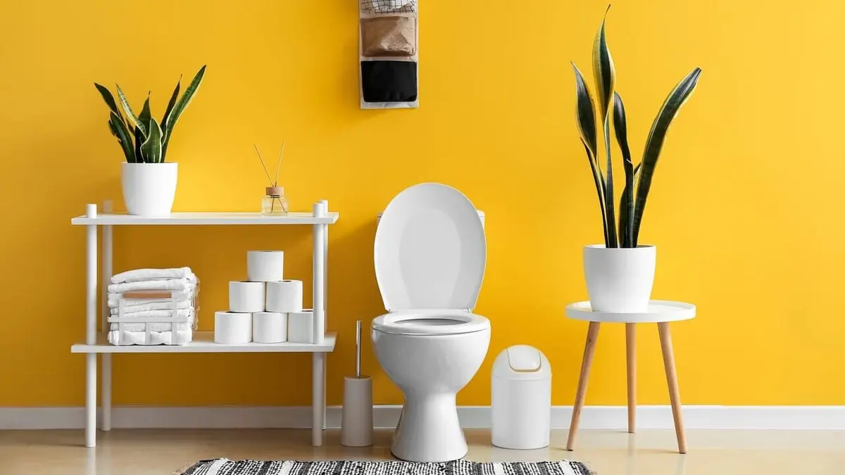 Matière grise Réfléchit-on mieux quand on doit aller aux toilettes ?