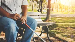 Matière grise L'aveugle qui voyait...parfois !