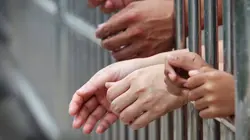 Maton : année zéro