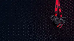 Matthieu Letho Duclos - Alexis Fontes - MMA Hexagone