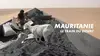 Mauritanie, le train du désert