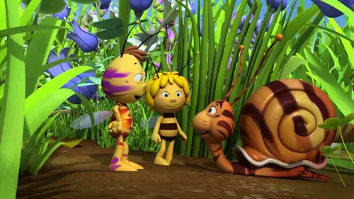 Maya l'abeille 3D S01E67 Le nouveau Shelby