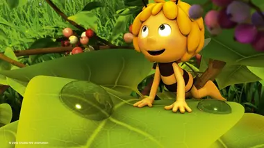 Maya l'abeille 3D S01E54 Maya, commandant en chef