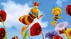 Maya l'abeille 3D S01E14 Gare a l'ours (2012)
