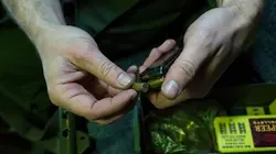 Mayday, dangers dans le ciel Mission mortelle en streaming