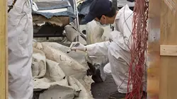 Mayday, dangers dans le ciel Vol en éclats