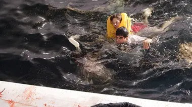 Le récit des survivants