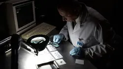 Mayday, dangers dans le ciel Dispute mortelle