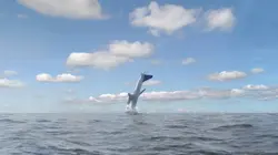 Mayday, dangers dans le ciel Test mortel