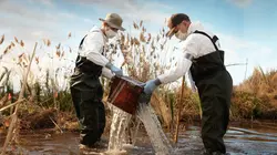 Mayday, dangers dans le ciel Pièces manquantes