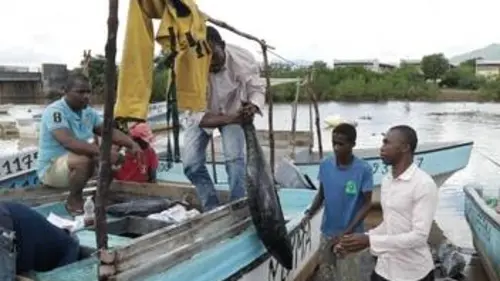 Mayotte, naissance d'un volcan