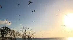 Visuel de Mayotte, Réunion, îles Eparses, les joyaux de l'océan Indien