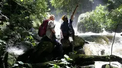 Mbudha, la source des chimpanzés