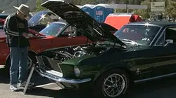 Visuel de McQueen, Bullitt et moi