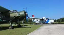 Mécanos express Un drôle d'oiseau
