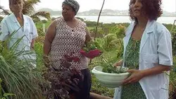 Visuel de Médecine d'outre-mer et d'ailleurs