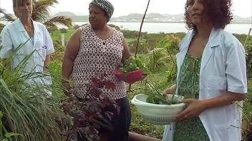 Médecine d'outre-mer et d'ailleurs