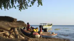 Médecines d'ailleurs  Malawi, les guérisseurs des collines