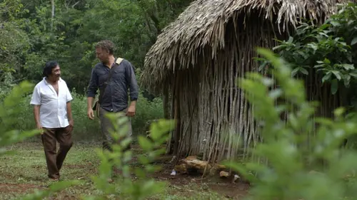 Médecines d'ailleurs Mexique, les guérisseurs maya