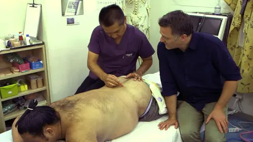 Casting Médecines d'ailleurs Japon, dans le secret des sumos