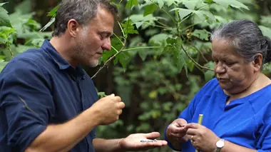 Canada : Haida Gwaii, la terre du peuple