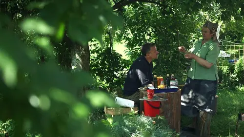 Médecines d'ailleurs Roumanie, les miracles des abeilles