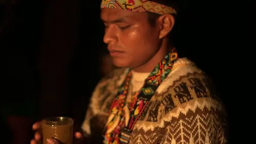 Médecines d'ailleurs Colombie, la culture du yagé