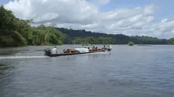 Médecines d'ailleurs  S03E00 Guyane : médecine tropicale sur le Maroni