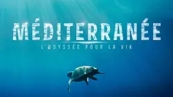 Méditerranée, l'odyssée pour la vie
