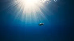 Méditerranée, l'odyssée pour la vie