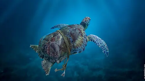 Méditerranée, l'odyssée pour la vie Le making of