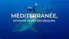 2018 • Méditerranée, le royaume perdu des requins