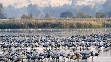 De la Grèce à l'Egypte