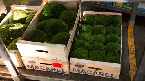 Mega Hubs S01E05 Marché de Rungis