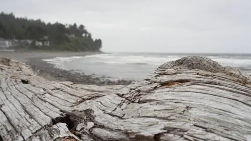 Mega tsunami