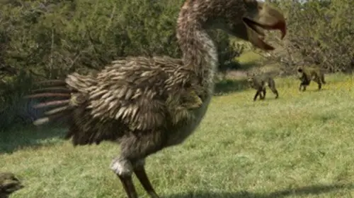 Mégamonstres Oiseau de terreur