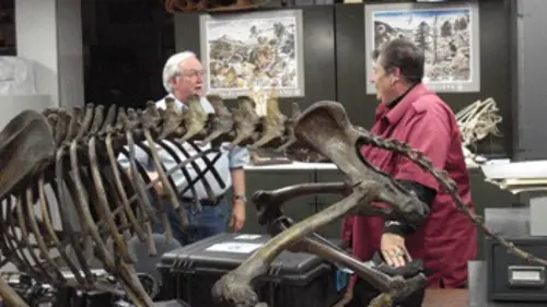 Mégamonstres Le plus grand des dinos tueurs