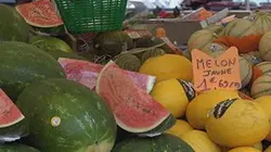 Melon, pastèque : duel au soleil