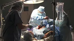 Visuel de Même pas mort