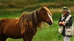 Visuel de Mémoires de Sable