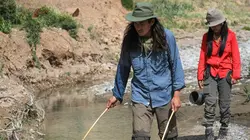 Men, Women, Wild