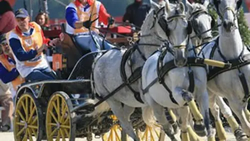 Mener pour la victoire