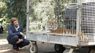 Mentalist S04E18 Remède miracle