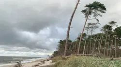 Mer Baltique, voyage au pays des grues cendrées