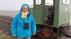 Mer du Nord, le retour des oies sauvages