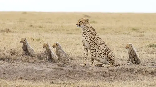 Mère nature Des mères travailleuses